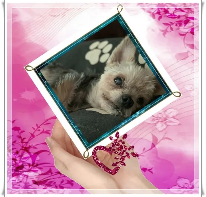 Andachtsbild von ❤️❤️❤️