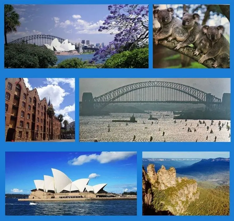 Andachtsbild von Sonntagsrosen für Timmi 