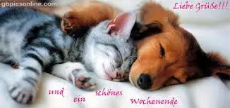 Andachtsbild von Brigitte mit Nelly, Benny und Axel im Herzen