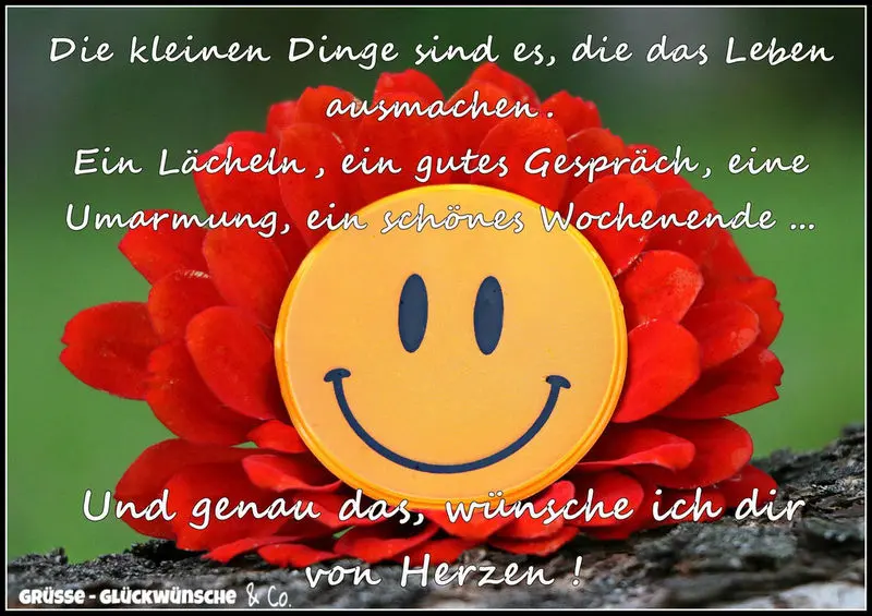 Andachtsbild von Brigitte mit Nelly, Benny und Axel im Herzen