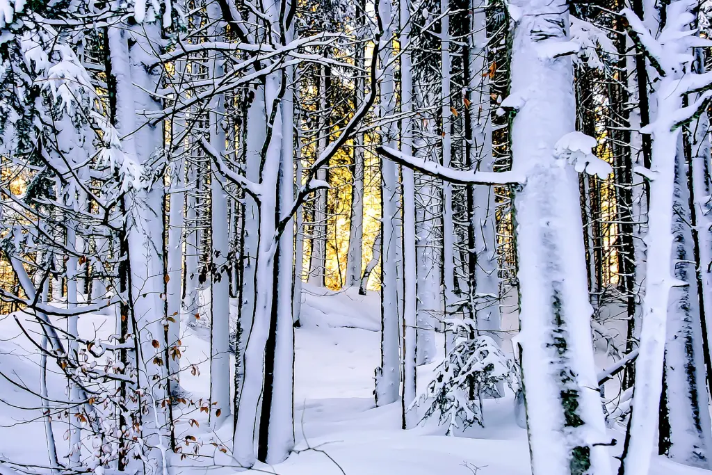 Andachtsbild von weihnachtliche STernchenpost