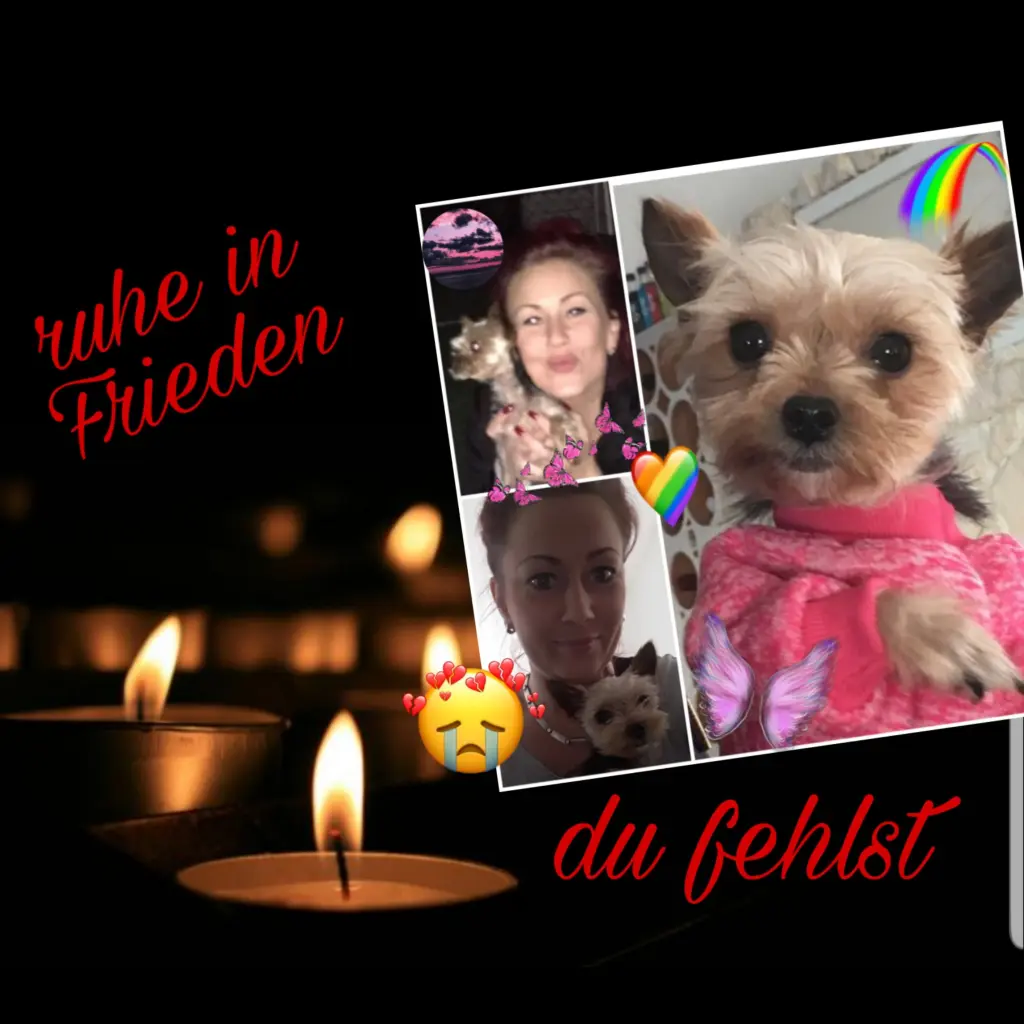 Condolence image of Nadine
