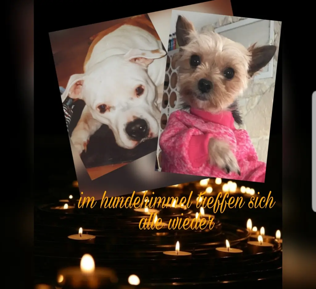 Condolence image of Nadine