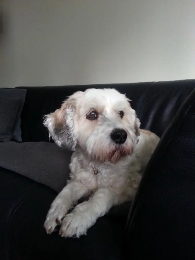 Condolence image of Claudia