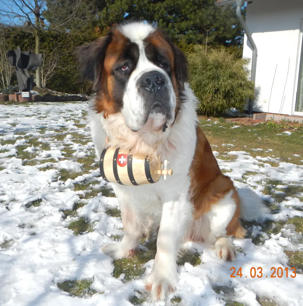 Image from Samson