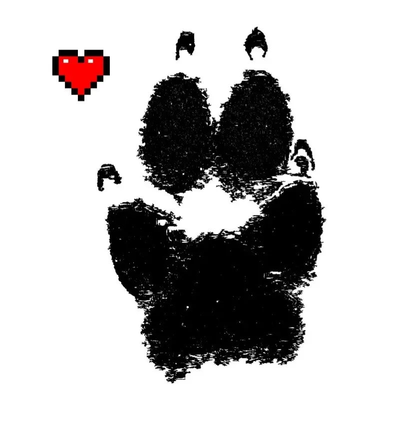 Condolence image of Unbekannt
