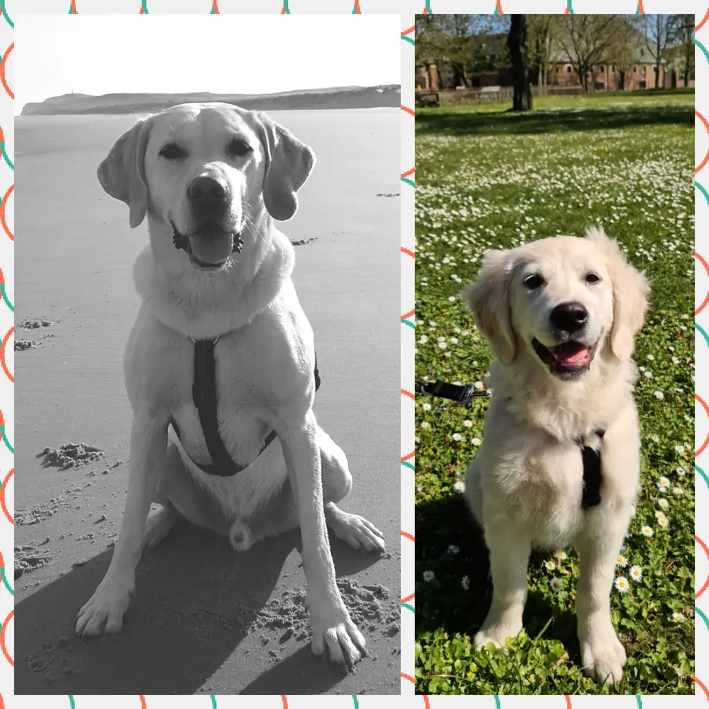 Condolence image of Andrea