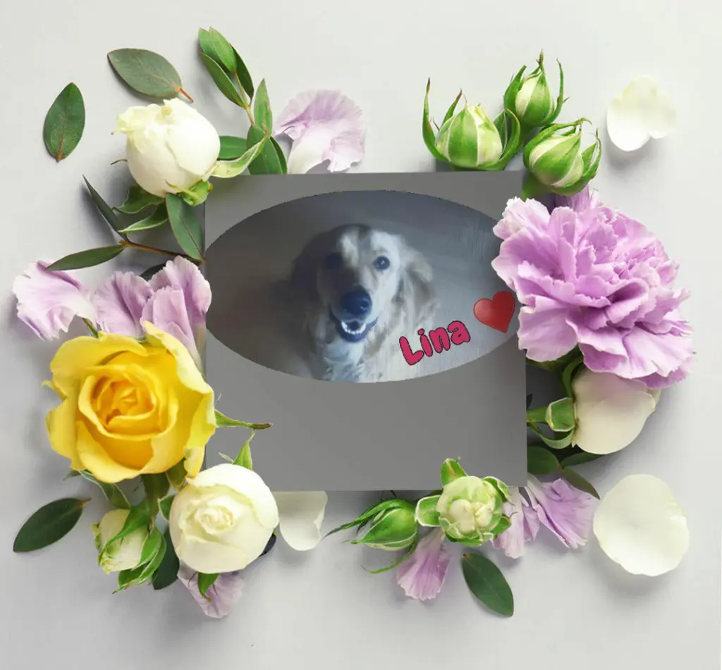 Andachtsbild von Ellen mit Lina ♥️