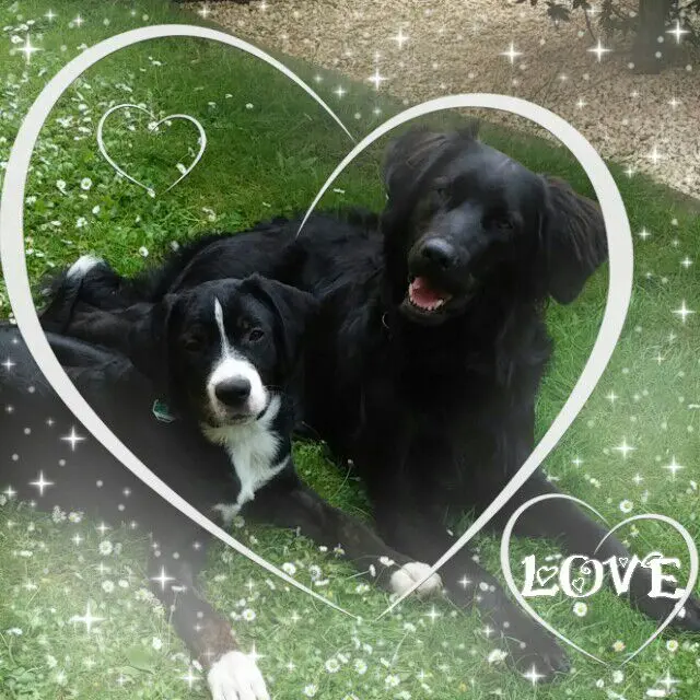 Image from Maddy