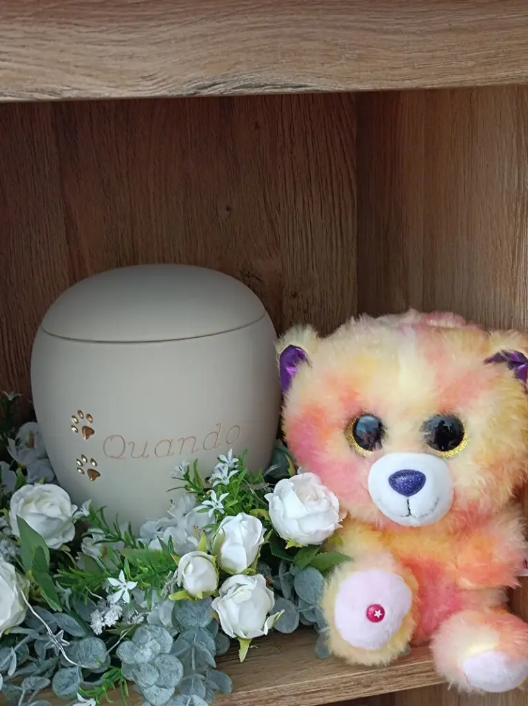 Condolence image of Birgit dein Frauchen