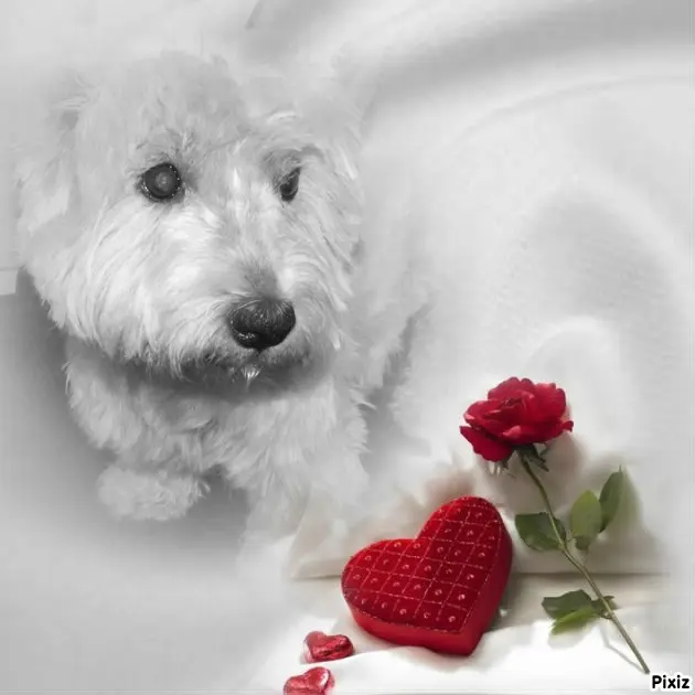 Condolence image of ❤️❤️❤️