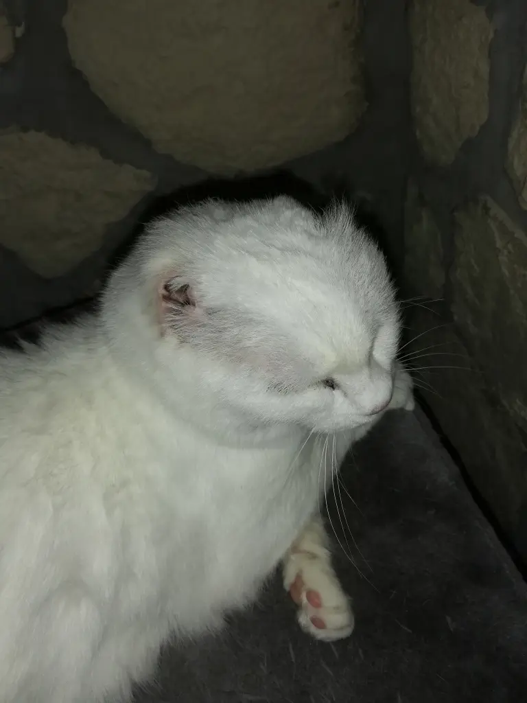 Condolence image of Marion