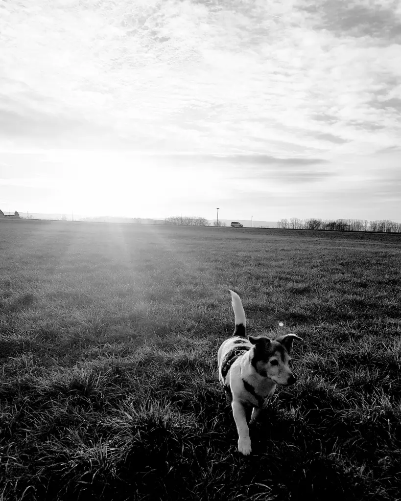 Andachtsbild von Kerstin