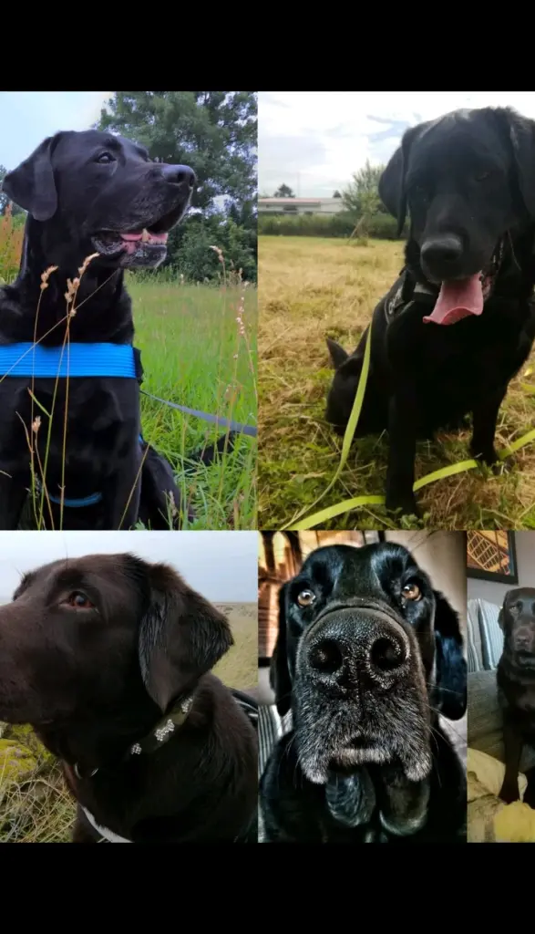 Andachtsbild von Susanne mit Carlos im Herzen und Aaron und Tina an meiner Seite 