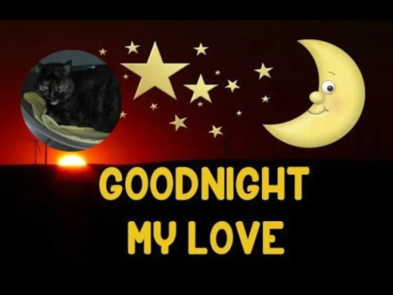 Condolence image of ❤️❤️❤️Gute Nacht❤️❤️❤️