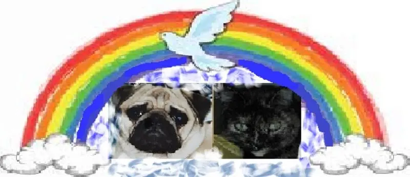 Condolence image of Renate