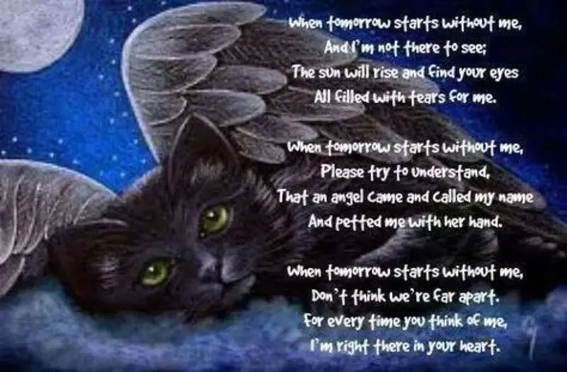 Condolence image of Anja mit Elli und Mona im ♥️