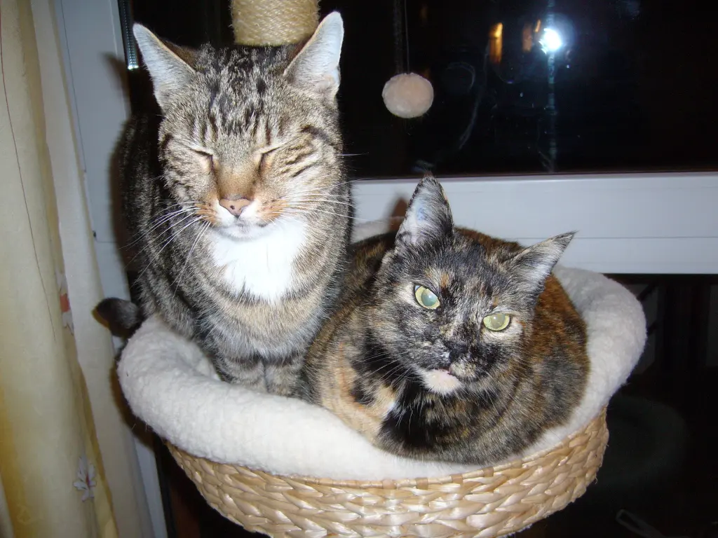 Condolence image of Sabine