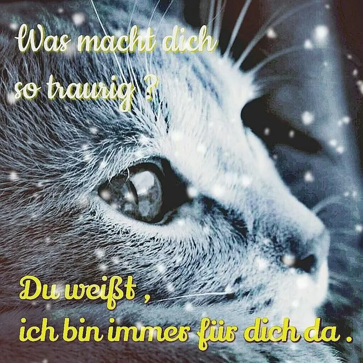 Condolence image of Für das kleine Sternchen Heidi ♥️