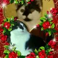 Condolence image of Annemarie und Elke mit Snoopy im Herzen gest.04.01.2022
