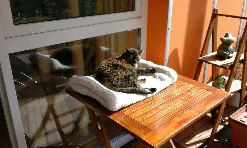 Condolence image of Sabine mit Heidi
