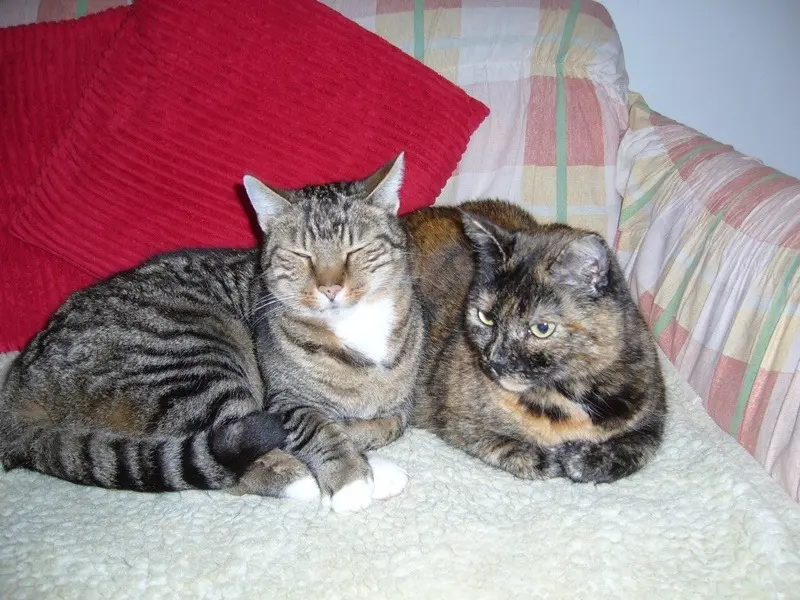 Condolence image of Sabine