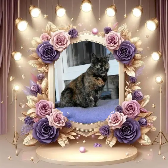 Condolence image of Andrea mit Minki im ♥️