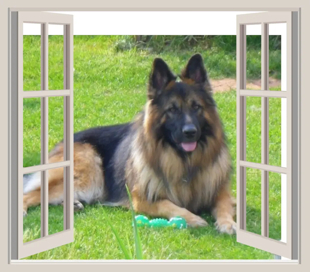 Andachtsbild von Birgit