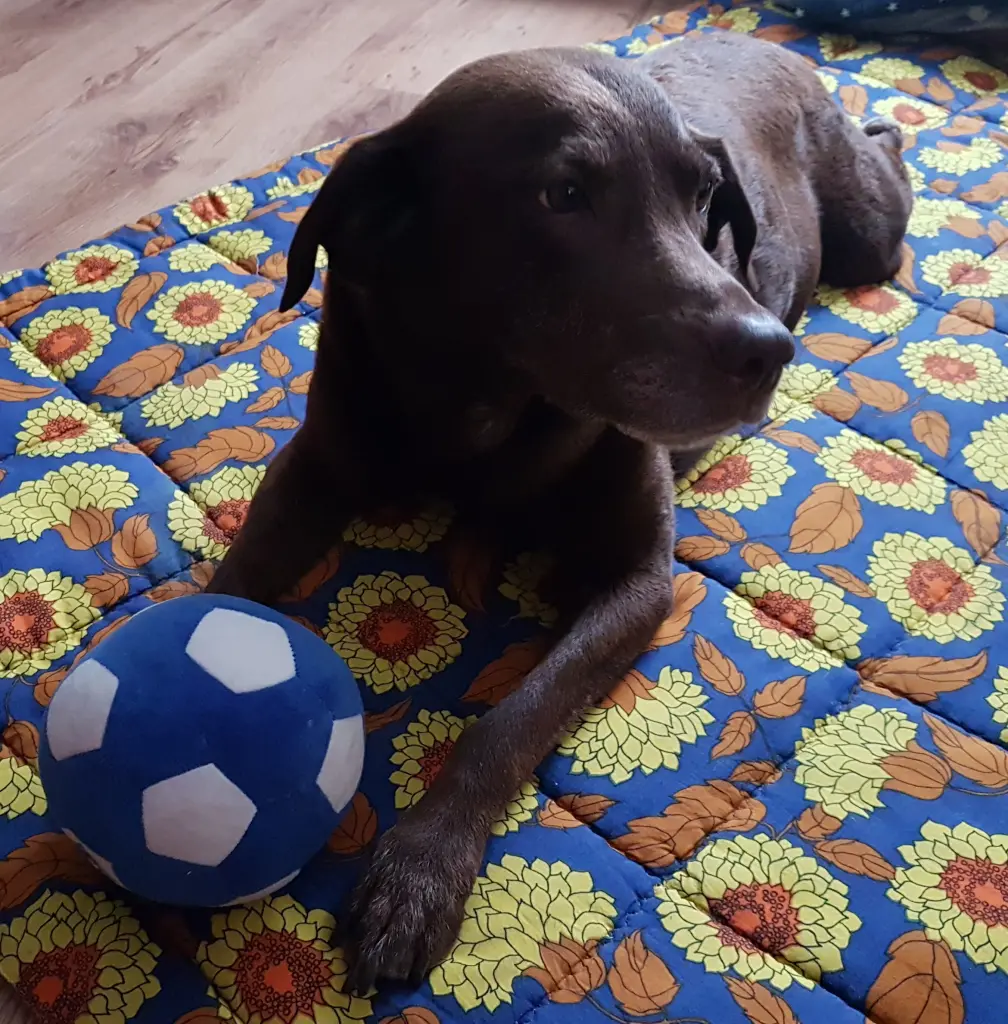 Andachtsbild von Silvana