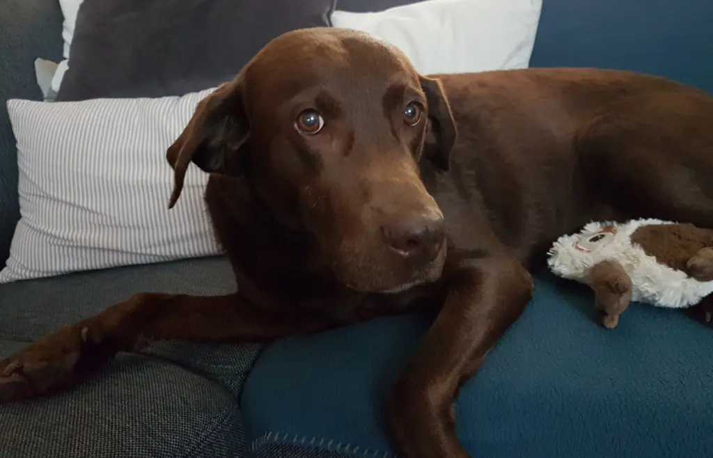 Andachtsbild von Silvana