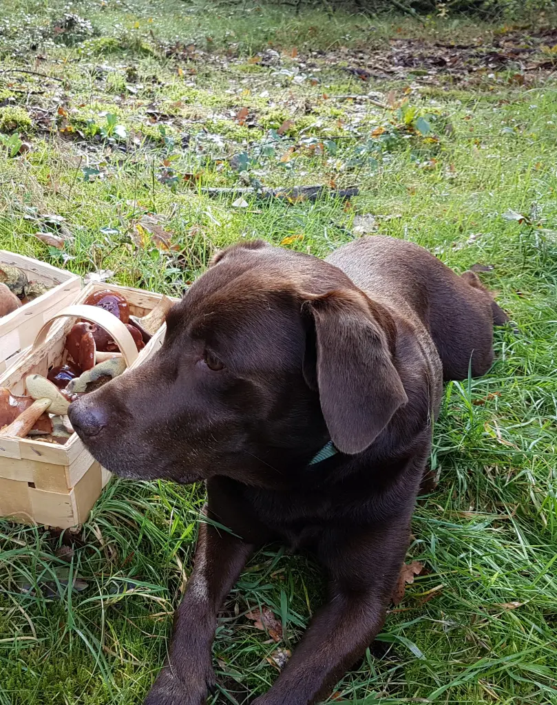 Andachtsbild von Silvana mit Bono ❤