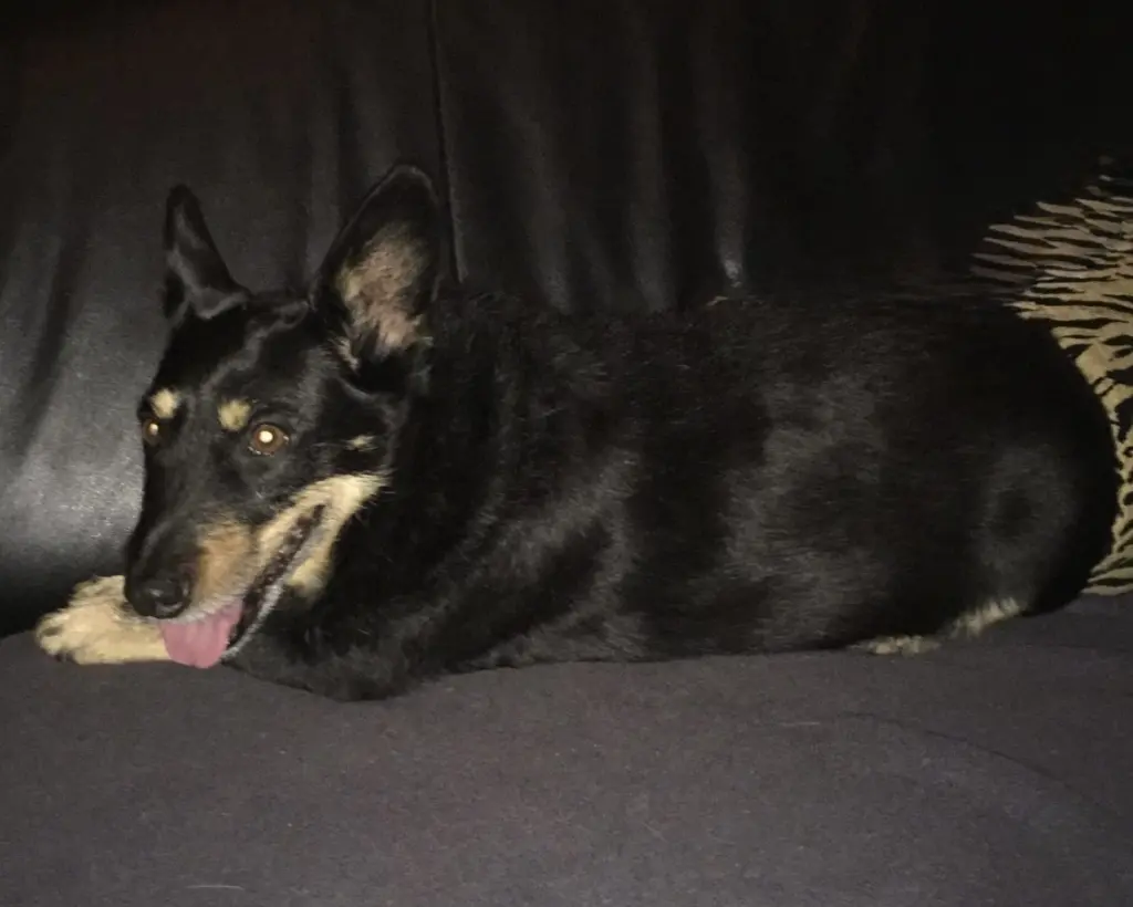 Andachtsbild von Jürgen Klein