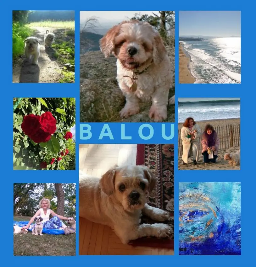 Condolence image of Marika mit Balou und Hippo im Herzen