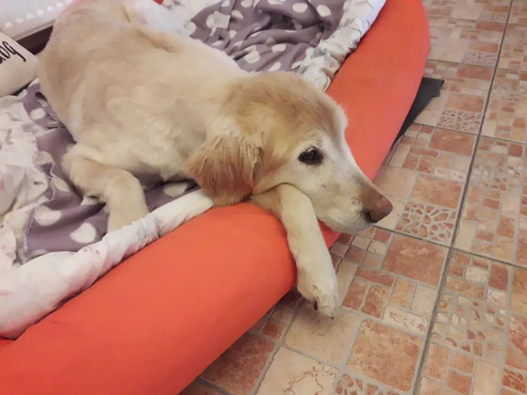 Image from Balu