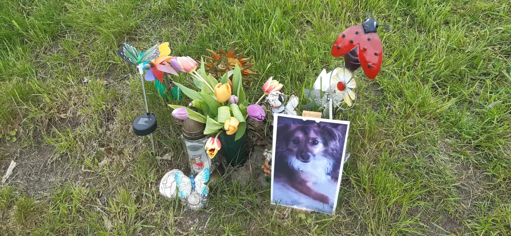 Condolence image of Markus Bauschulte