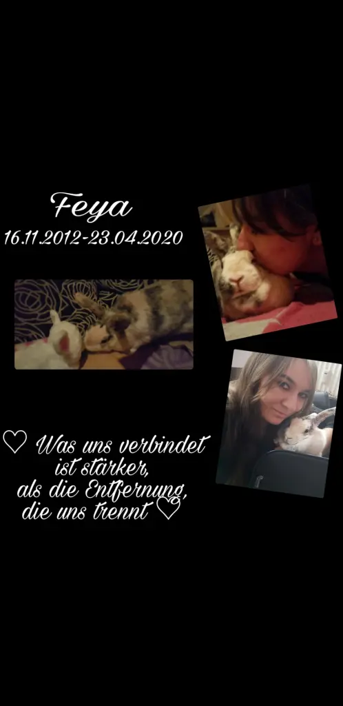 Condolence image of Michelle, dein Frauchen
