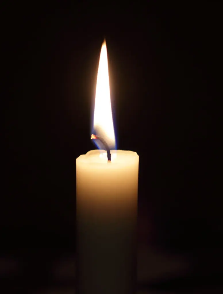 Condolence image of Michelle, dein Frauchen