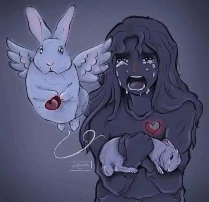 Condolence image of Michelle, dein Frauchen