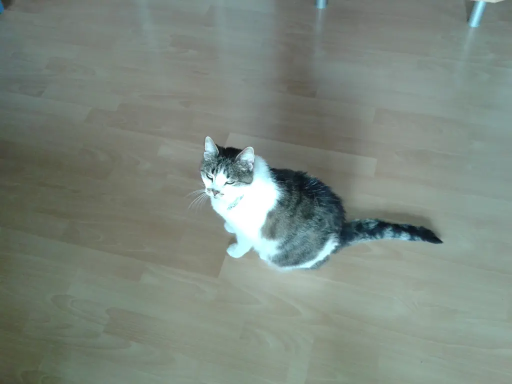 Image from Angel