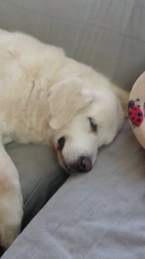 Condolence image of Sabine