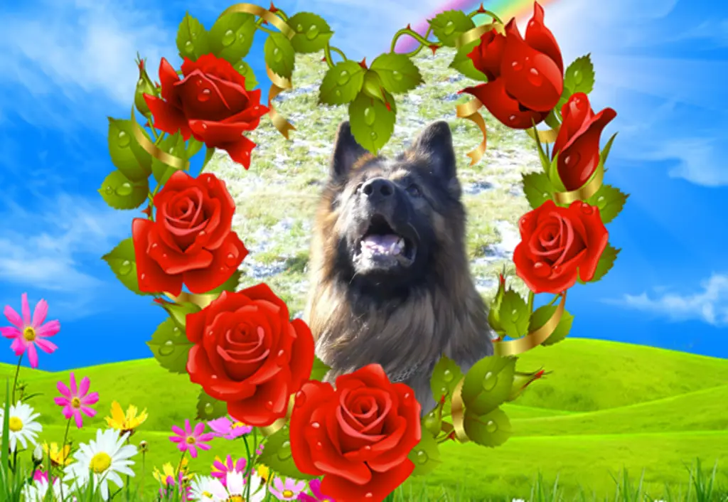 Condolence image of Birgit