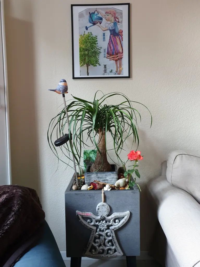 Image from Frodo
