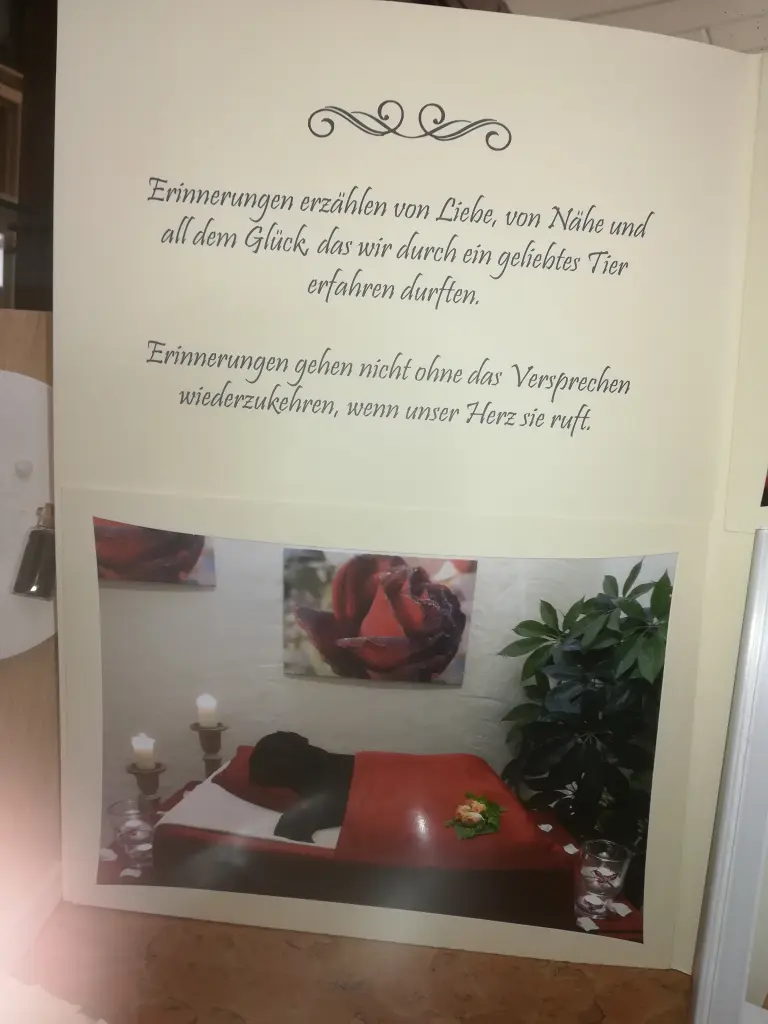 Image from Klara