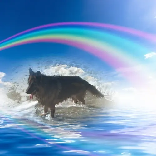 Andachtsbild von ❤️❤️❤️