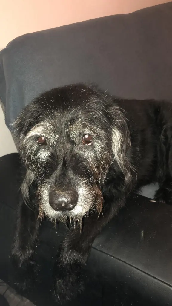 Condolence image of Wolfgang