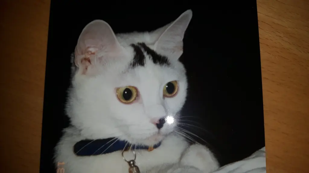 Condolence image of Biggi