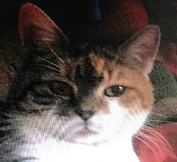 Condolence image of Jutta