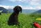 Image from Casy