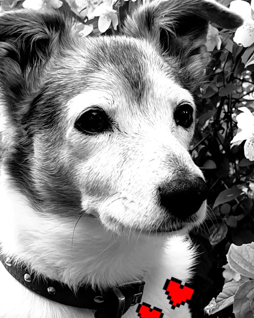 Condolence image of Kerstin
