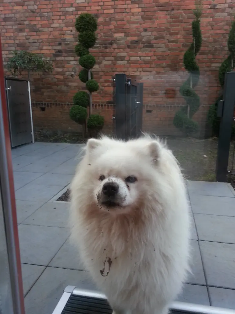 Image from Samson